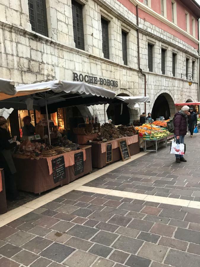 La Perle De La Vieille Ville D'Annecy Lejlighed Eksteriør billede